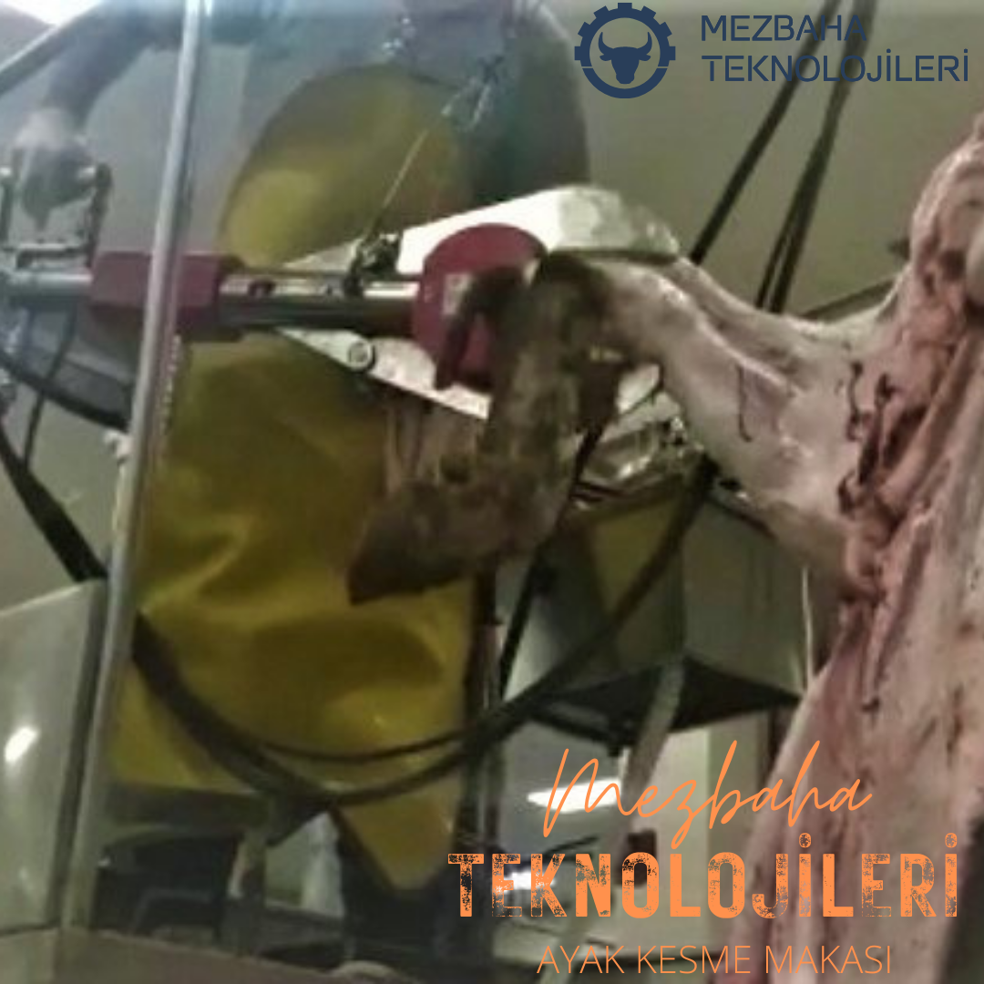 مقص قطع القدم